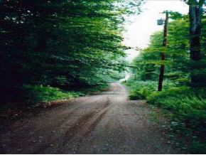 143 Bear Hill Road Washington, NH 03280 - Photo 2 of 2 Gallery Image 2