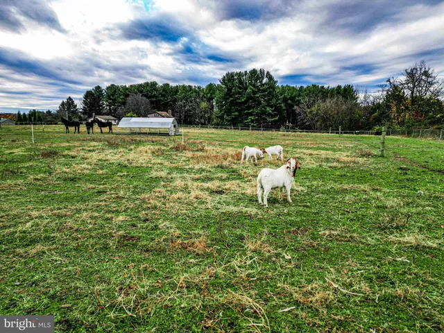 a view of a lake with a yard