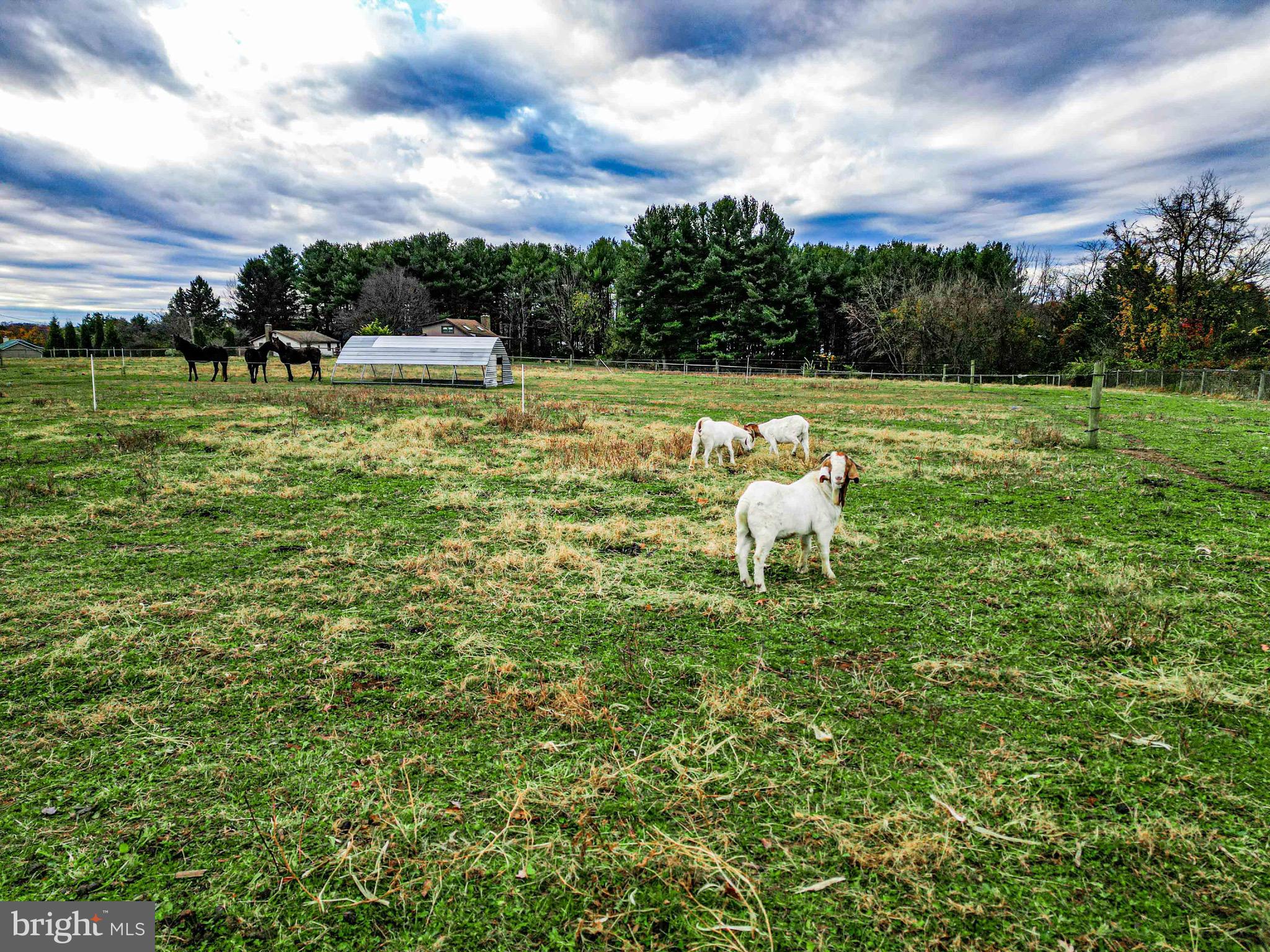 54 Mitchell Road Airville, PA 17302 - Photo 24 of 35 a view of a lake with a yard