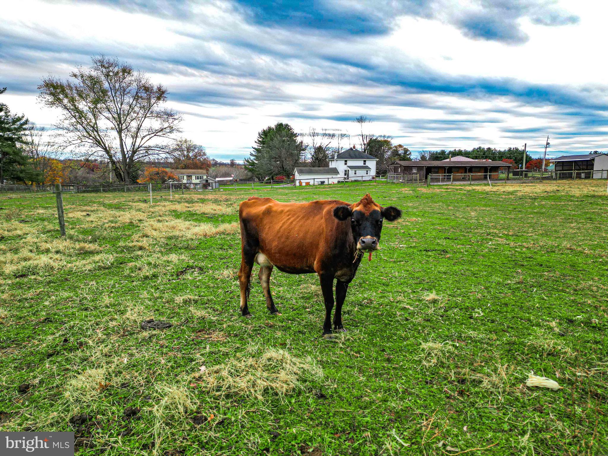 54 Mitchell Road Airville, PA 17302 - Photo 26 of 35 a view of yard with swimming pool and green space