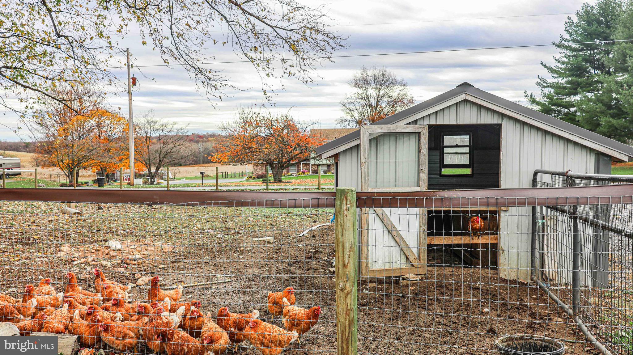 54 Mitchell Road Airville, PA 17302 - Photo 27 of 35 a front view of a house with a yard