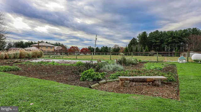 a view of a park with large trees