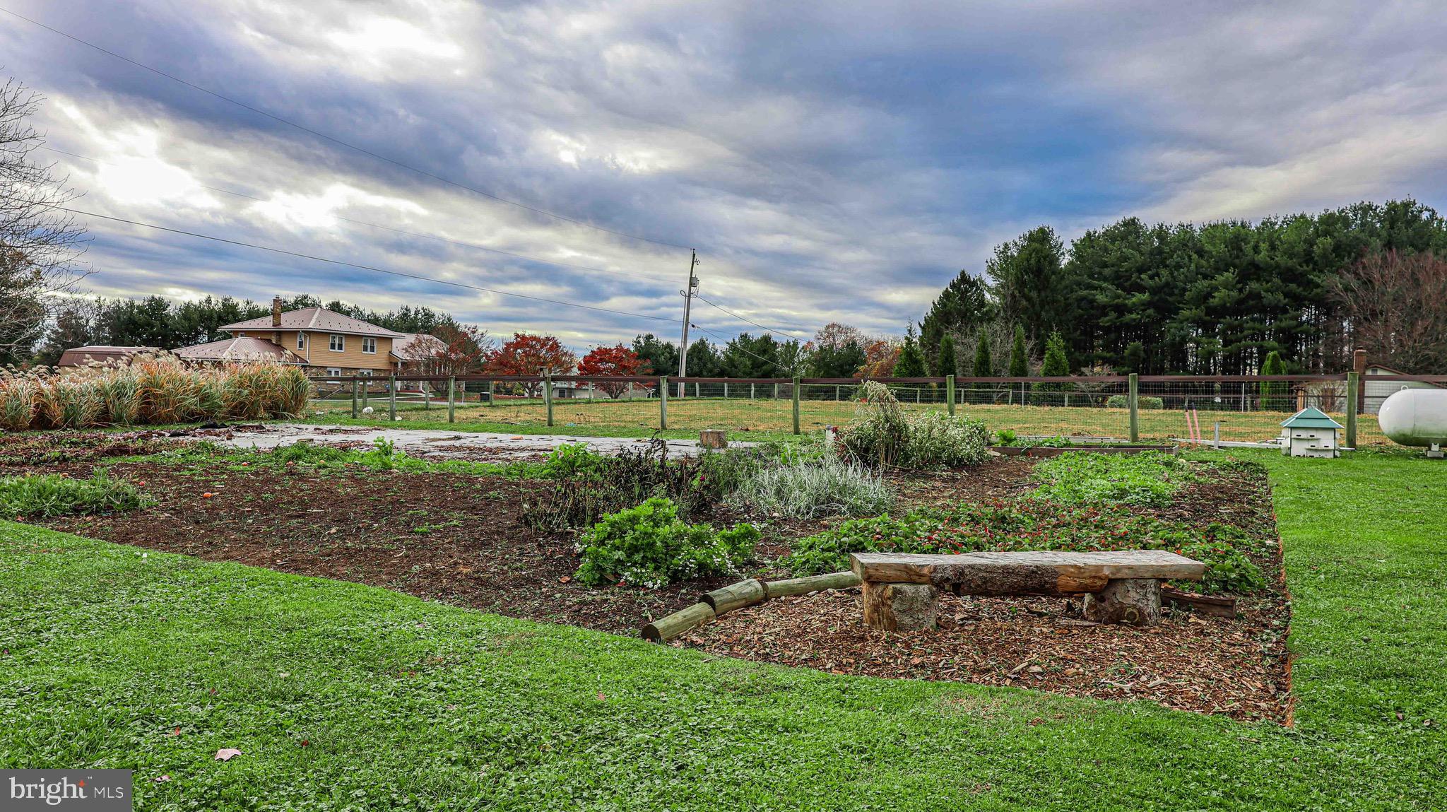 54 Mitchell Road Airville, PA 17302 - Photo 6 of 35 a view of a park with large trees