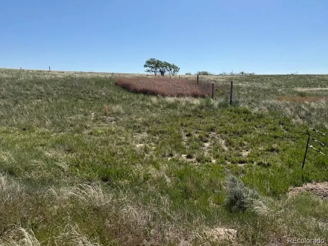 a view of a field with an ocean