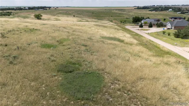 a view of a city with lush green forest