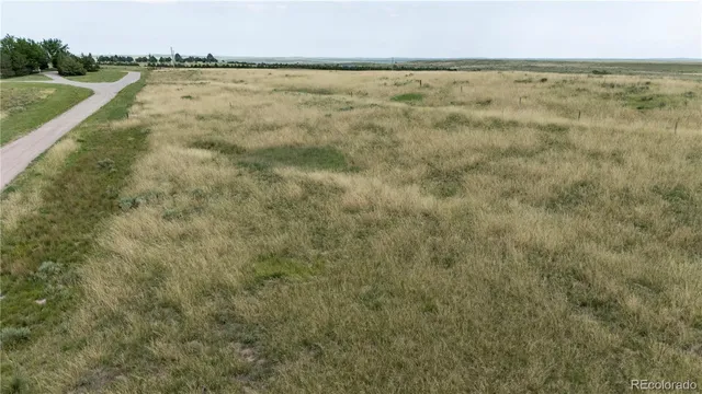 a view of beach and small yard
