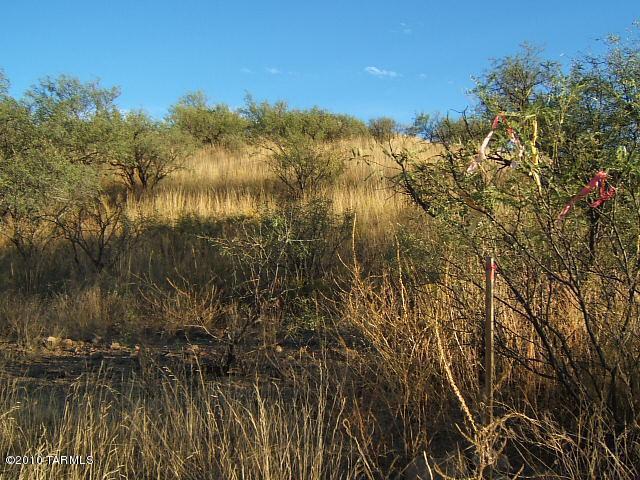 161 D Tequila Sunrise Lane, Unit D Rio Rico, AZ 85648 - Photo 4 of 9