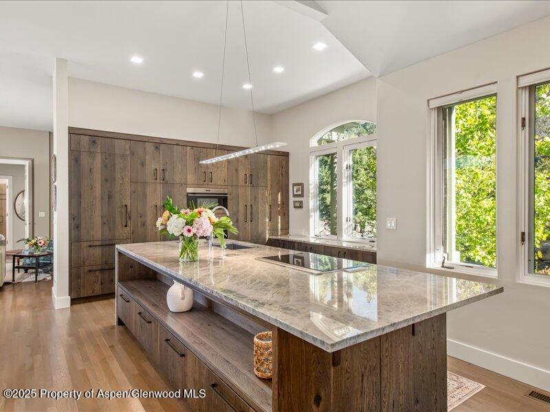 587 Hillcrest Drive Basalt, CO 81621 - Photo 11 of 57 Gourmet kitchen
