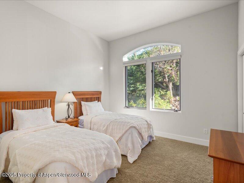 587 Hillcrest Drive Basalt, CO 81621 - Photo 34 of 57 Guest twins