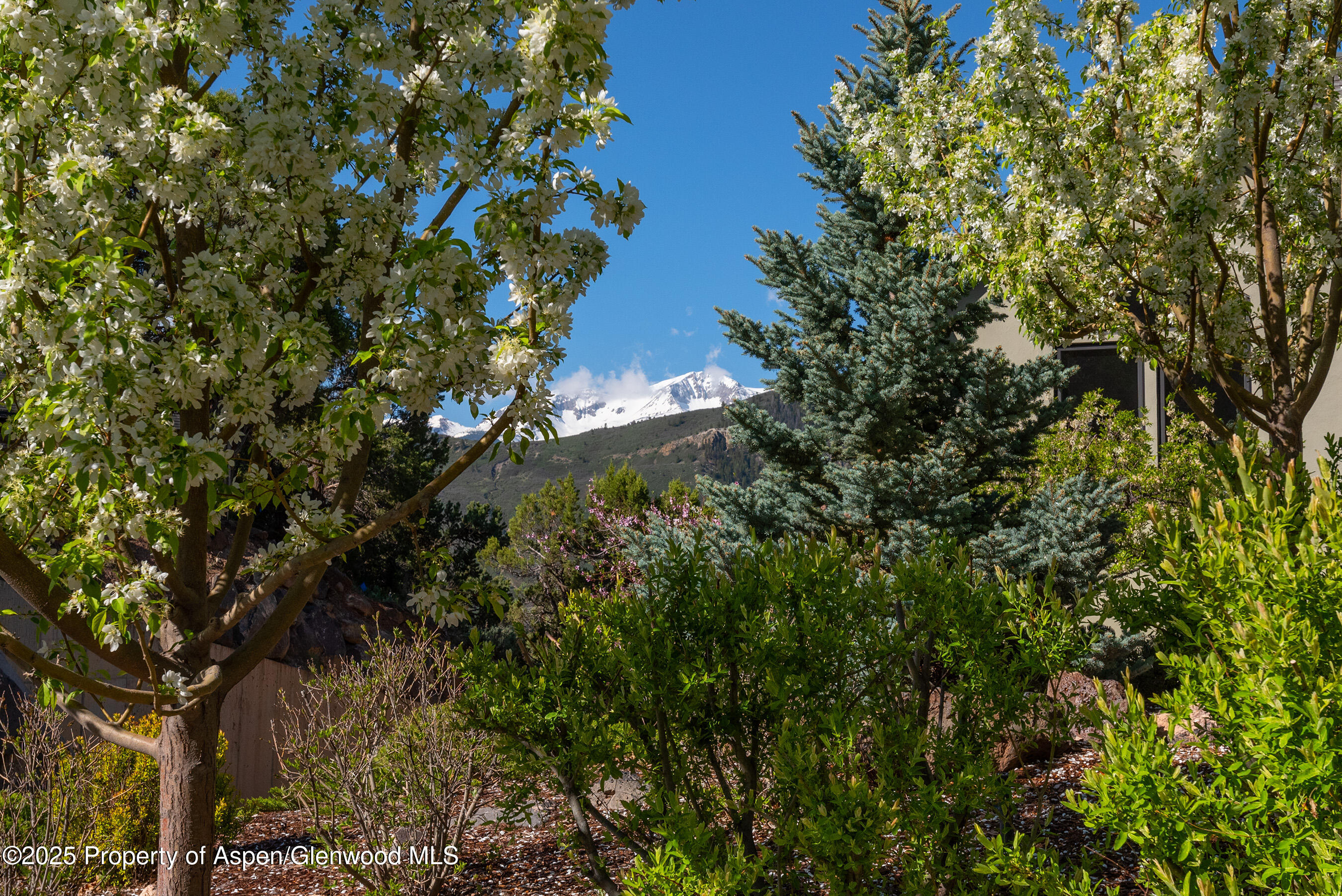 587 Hillcrest Drive Basalt, CO 81621 - Photo 47 of 57 Peek a boo!