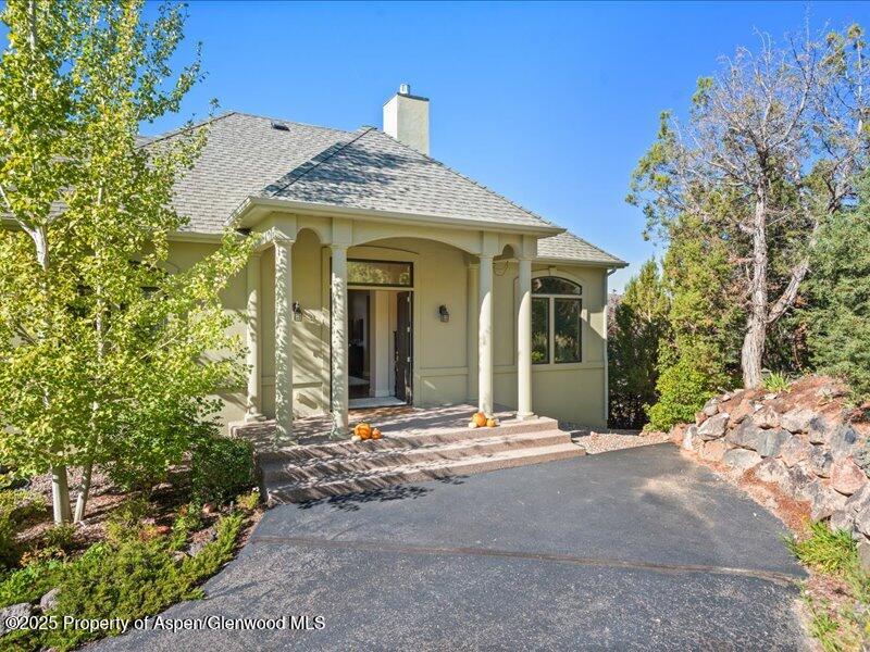 587 Hillcrest Drive Basalt, CO 81621 - Photo 52 of 57 Grand entrance