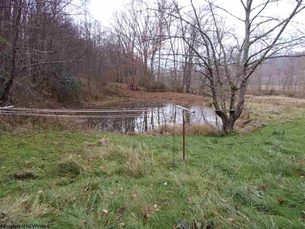 629 B Butts Farm Road Parsons, WV 26287 - Photo 7 of 11 Gallery Image 7