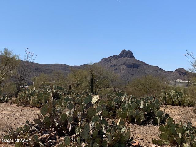 7089 West Ina Road, Unit 2 Tucson, AZ 85743 - Photo 9 of 12