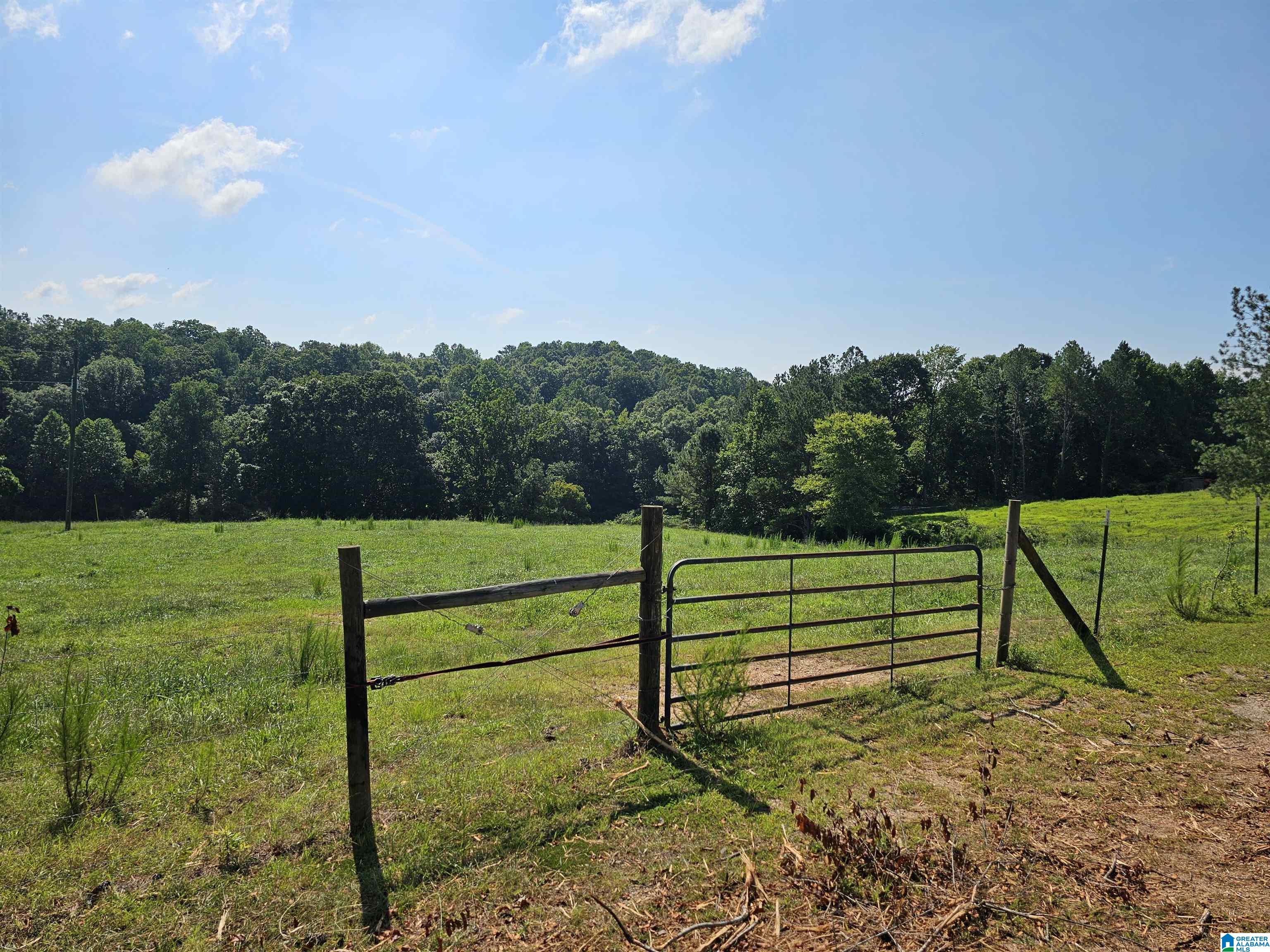 10 County Road 10 Ranburne, AL 36273 - Photo 4 of 11