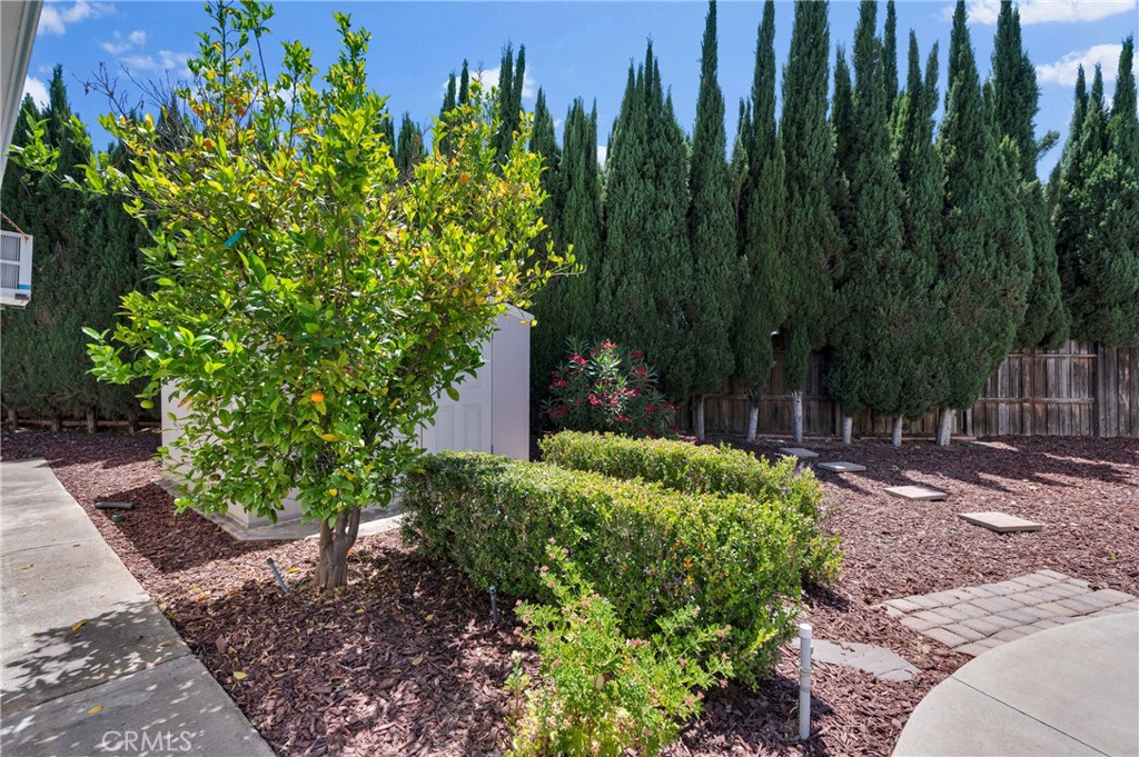 4829 East Kenyon Place Orange, CA 92869 - Photo 28 of 42 a backyard of a house with lots of green space