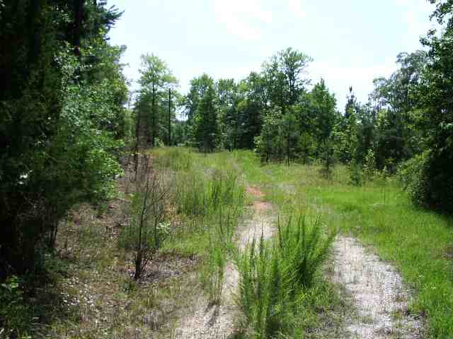 1156 Dillard Road Waterloo, SC 29384 - Photo 1 of 4
