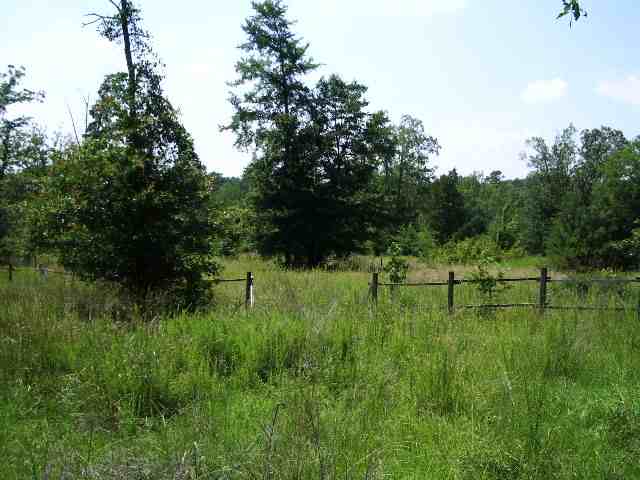 1156 Dillard Road Waterloo, SC 29384 - Photo 2 of 4