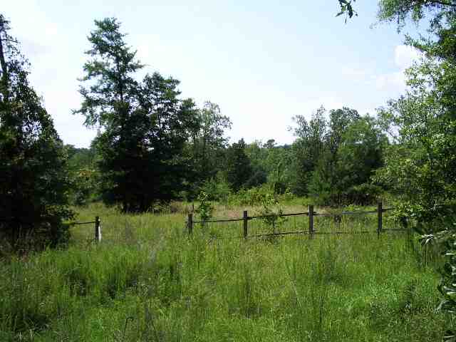 1156 Dillard Road Waterloo, SC 29384 - Photo 4 of 4