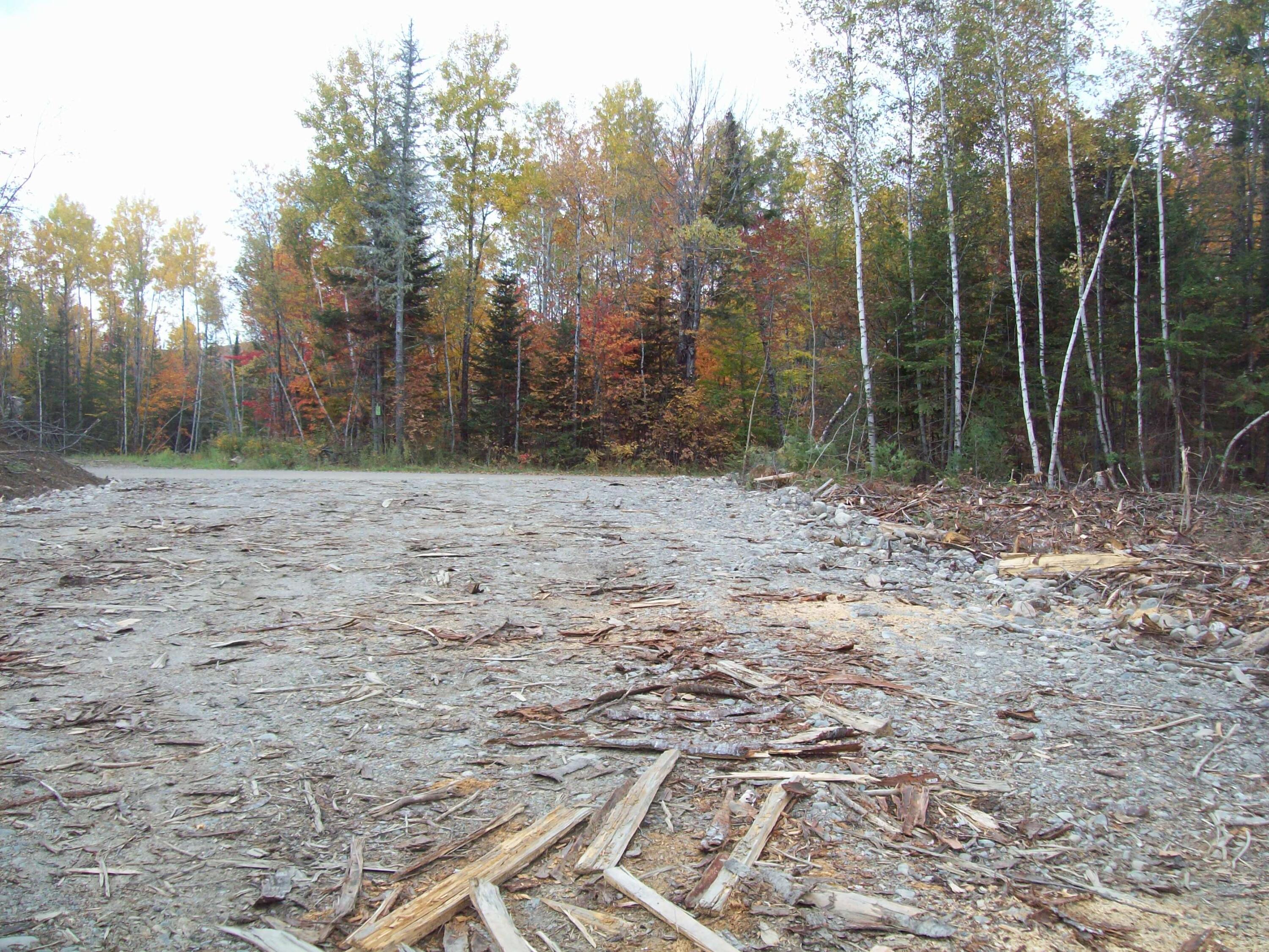 Tbd Tbd Road Carroll Plt, ME 04487 - Photo 12 of 15 100_2394
