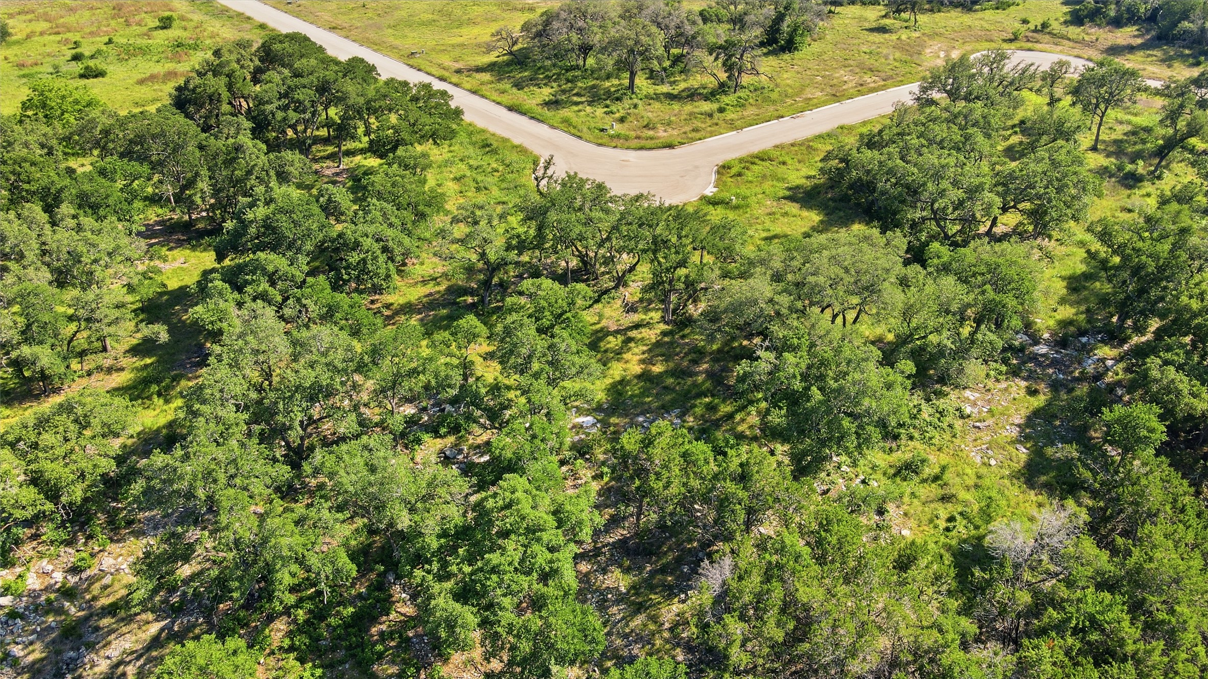 152 West Rio Rnch Road Liberty Hill, TX 78642 - Photo 16 of 27 a view of a forest