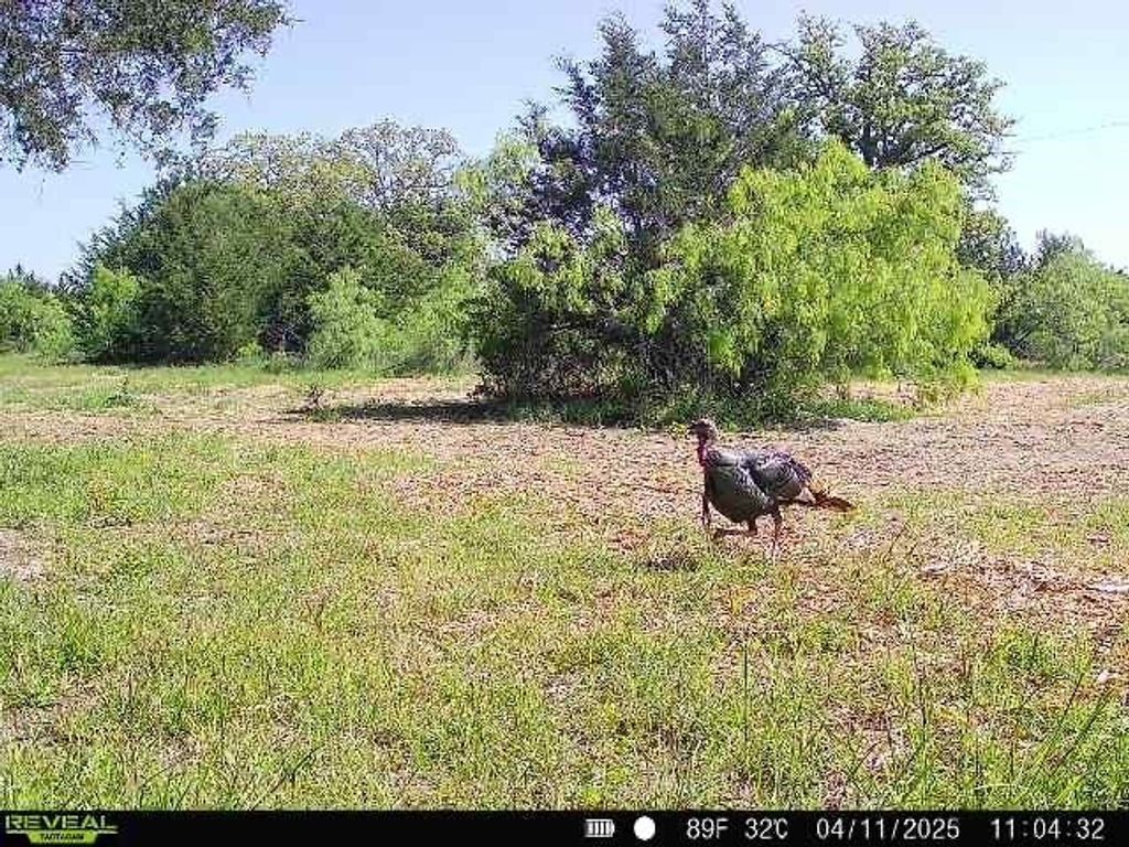 10791 Roy Road Flatonia, TX 78941 - Photo 24 of 29 Gallery Image 24