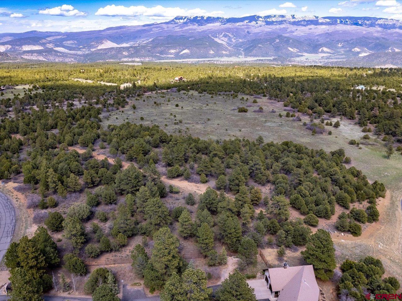 Tbd Lot 556 Tbd Ridgway, CO 81432 - Photo 6 of 6
