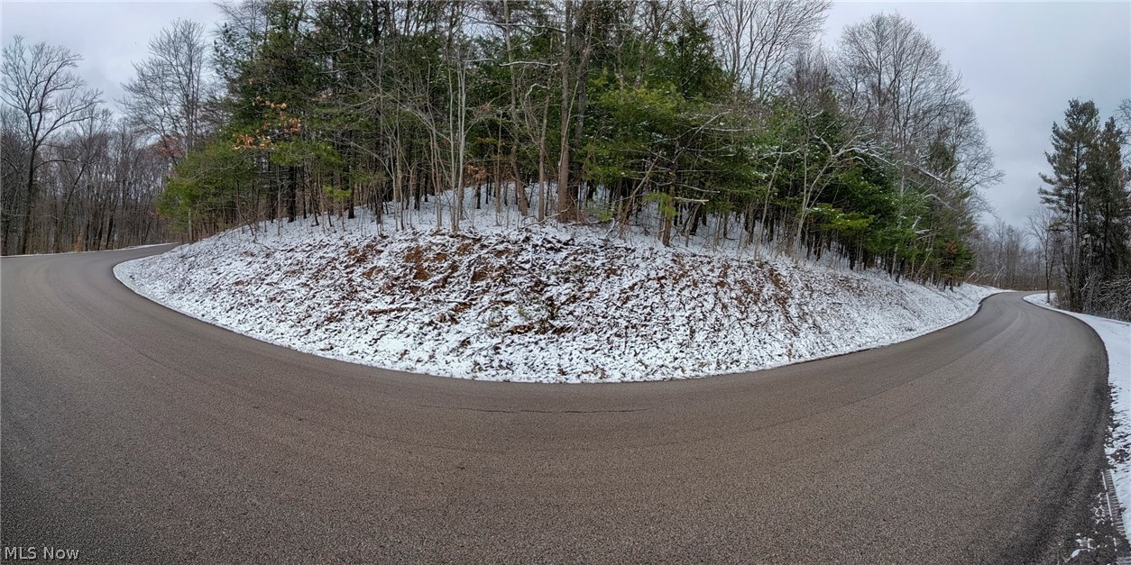 0 Tract 3 Bondi Ridge Road Woodsfield, OH 43793 - Photo 24 of 24
