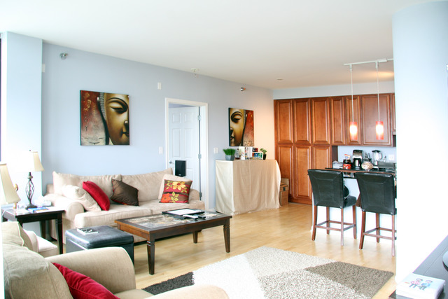 1255 South State Street, Unit 1502 Chicago, IL 60605 - Photo 2 of 15