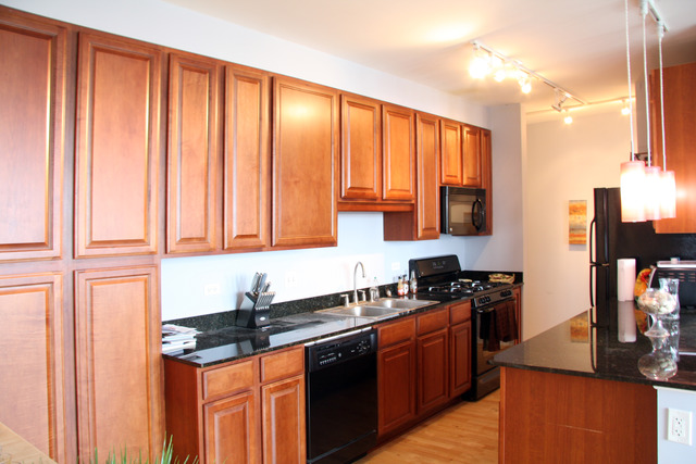 1255 South State Street, Unit 1502 Chicago, IL 60605 - Photo 3 of 15