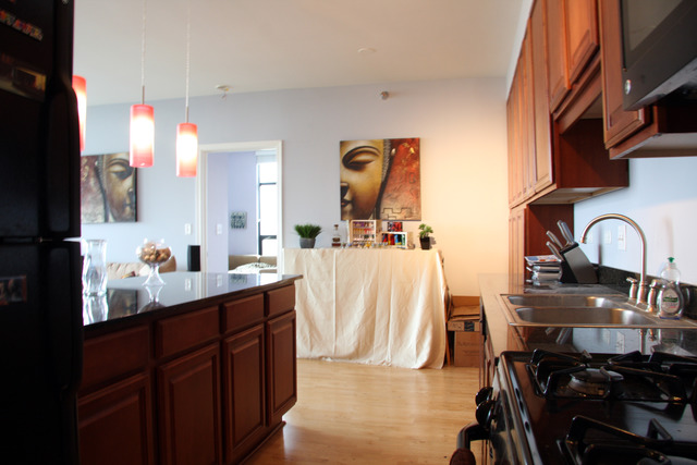 1255 South State Street, Unit 1502 Chicago, IL 60605 - Photo 4 of 15