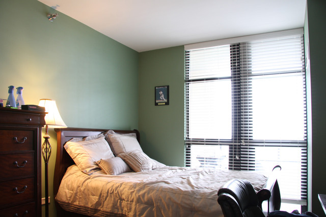 1255 South State Street, Unit 1502 Chicago, IL 60605 - Photo 8 of 15