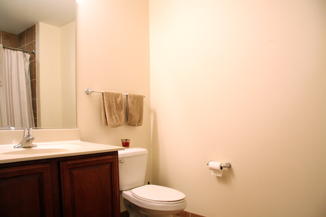 1255 South State Street, Unit 1502 Chicago, IL 60605 - Photo 9 of 15