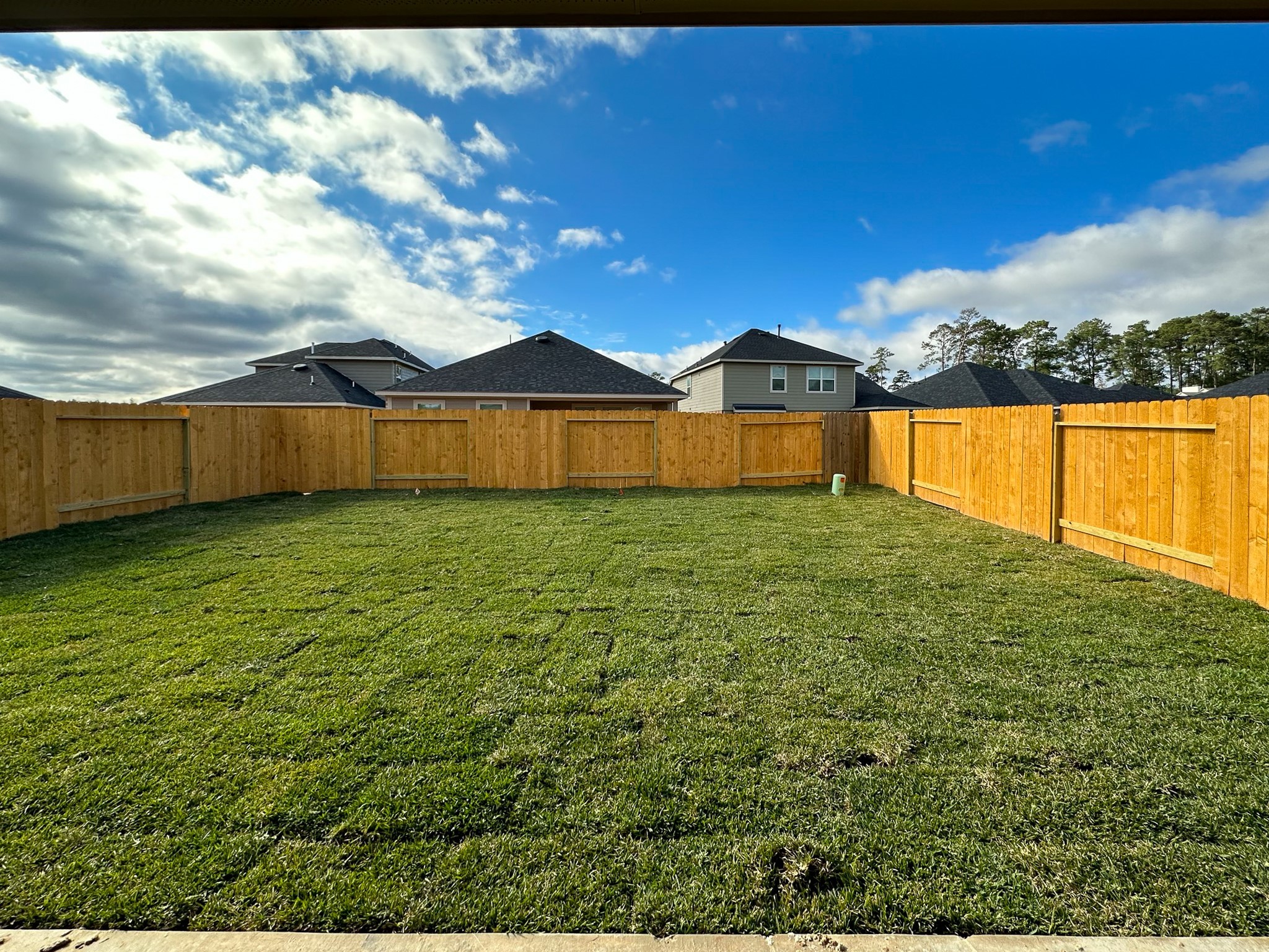 27079 Badger Way Magnolia, TX 77354 - Photo 37 of 40 a view of a yard with a large tree