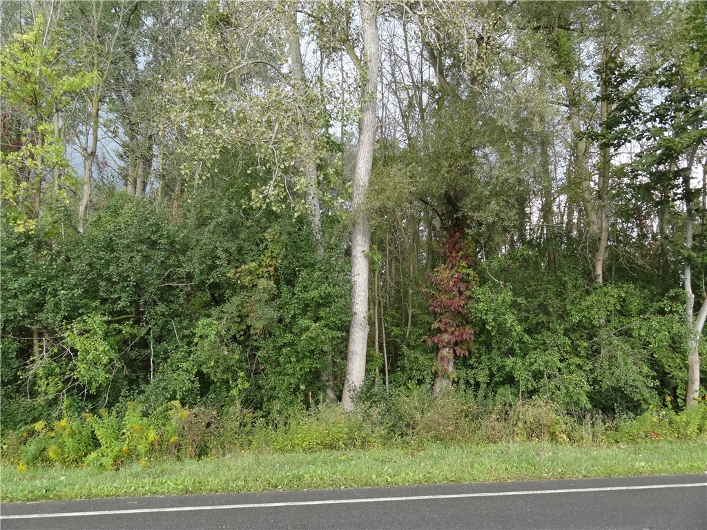 0 Malloch Road Churchville, NY 14428 - Photo 1 of 1 Gallery Image 1