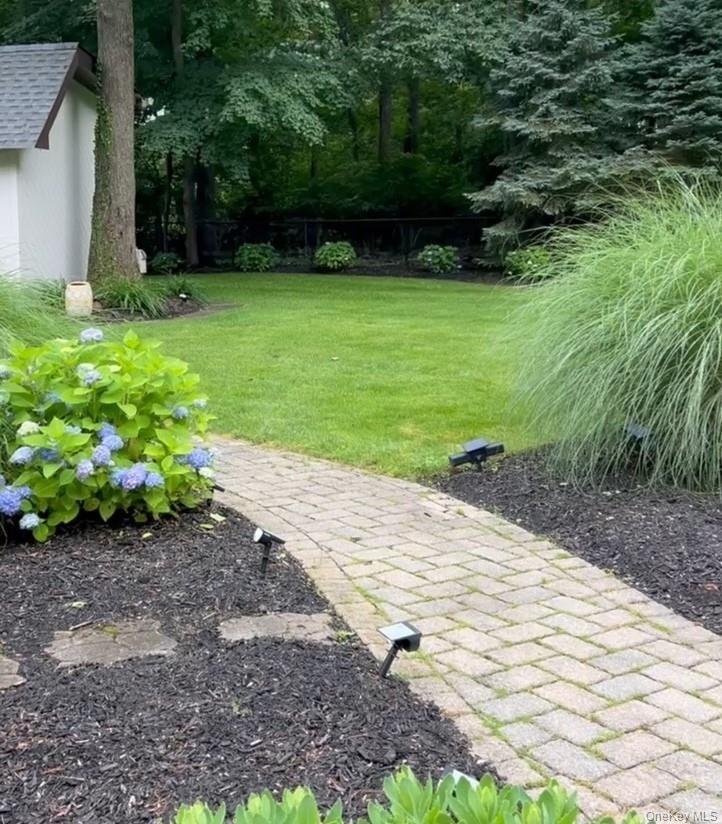 37 Bridle Path St. James, NY 11780 - Photo 36 of 38 a view of a backyard with potted plants and large trees