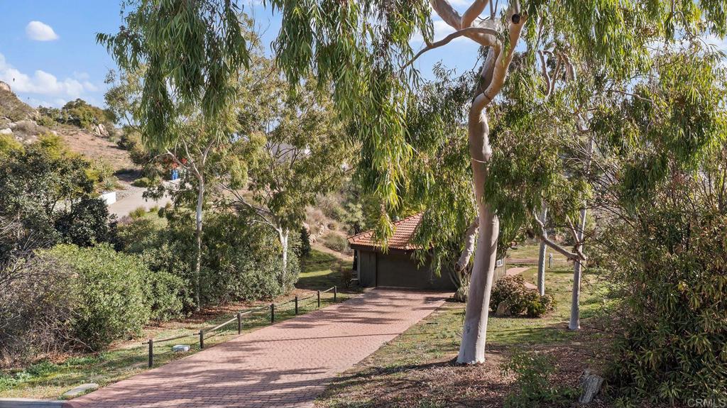 a view of a yard with plants and trees