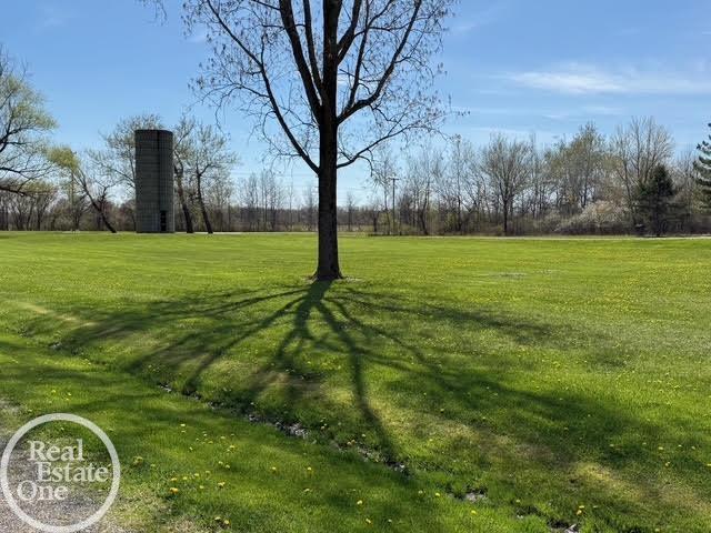 15594 Bryce Road Capac, MI 48014 - Photo 6 of 35