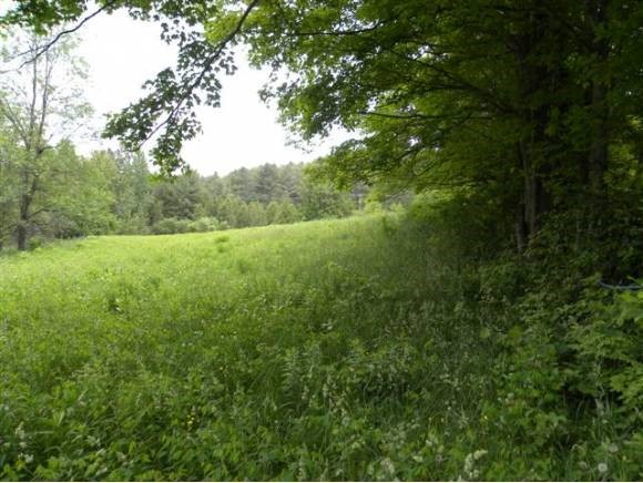 Breezy Hill Road Barton, VT 05822 - Photo 1 of 1