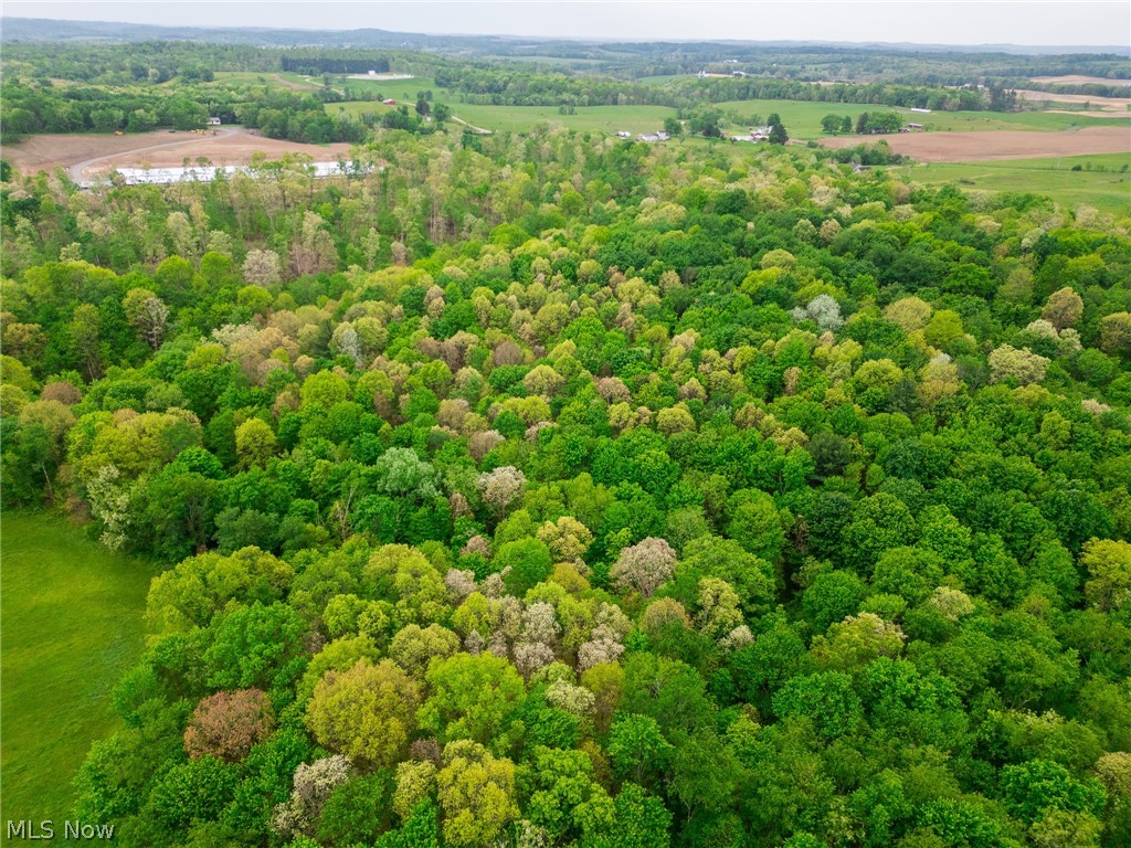 Emerick Road Summitville, OH 43962 - Photo 21 of 47