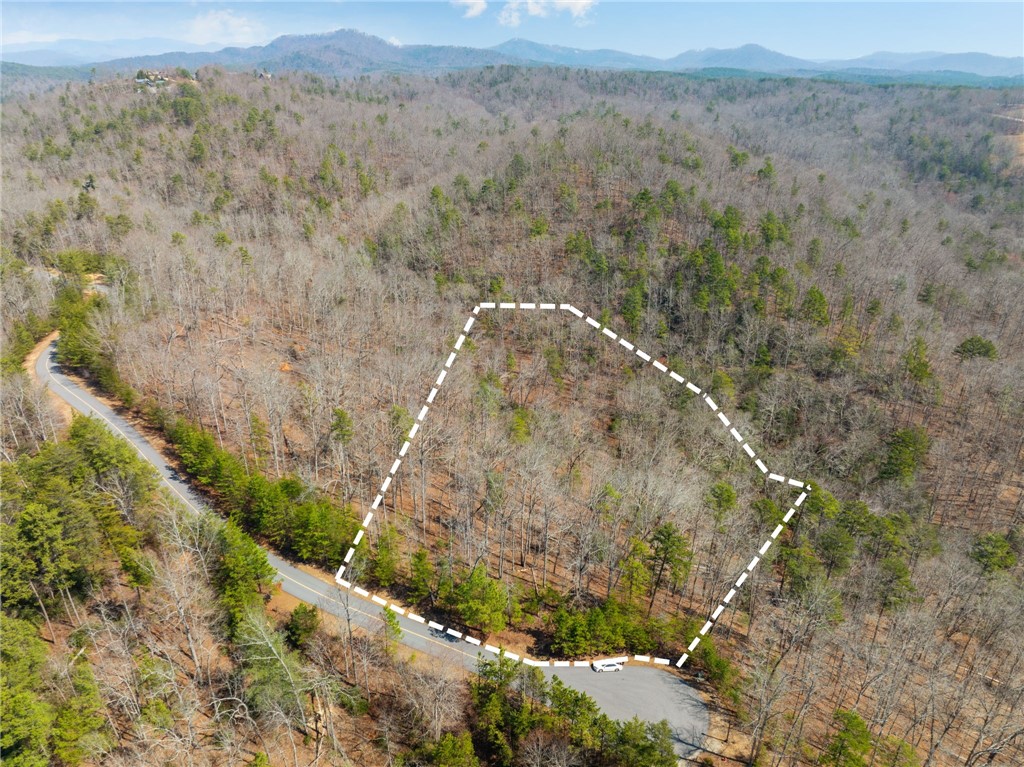 223 Logan Rdg Run Sunset, SC 29685 - Photo 1 of 10 Property lines depicted on aerial photographs may not be representative of actual property lines.