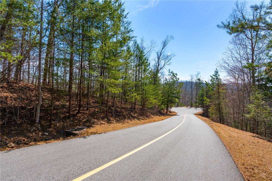 223 Logan Rdg Run Sunset, SC 29685 - Photo 3 of 10 View from road