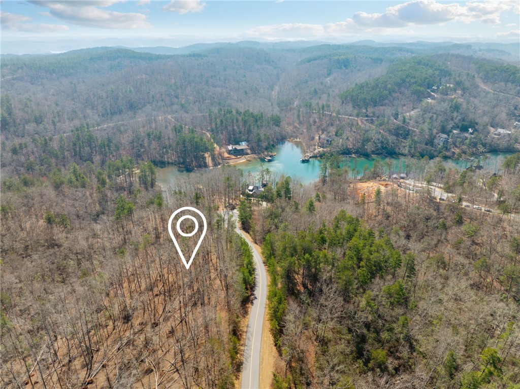 223 Logan Rdg Run Sunset, SC 29685 - Photo 4 of 10 Location marker is for visualization purposes only