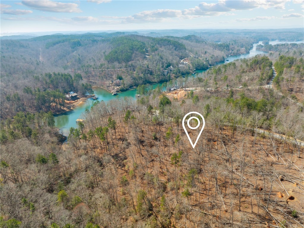 223 Logan Rdg Run Sunset, SC 29685 - Photo 5 of 10 Location marker is for visualization purposes only