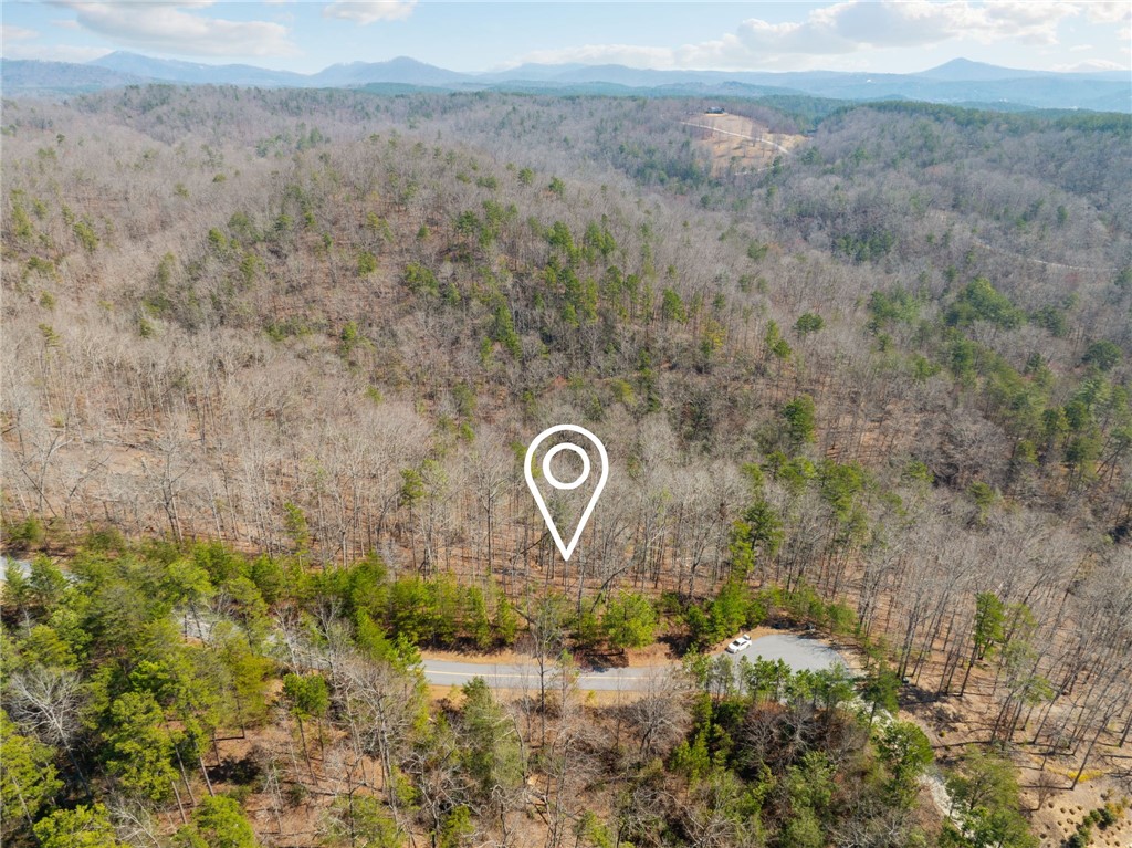 223 Logan Rdg Run Sunset, SC 29685 - Photo 6 of 10 Location marker is for visualization purposes only