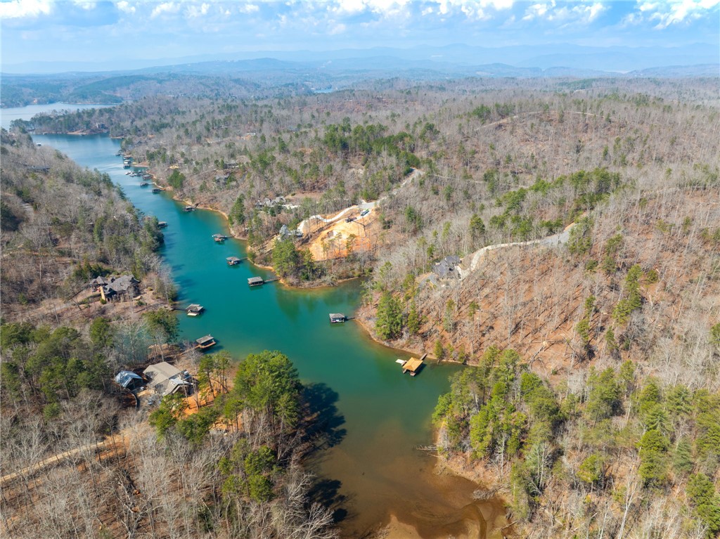 223 Logan Rdg Run Sunset, SC 29685 - Photo 7 of 10