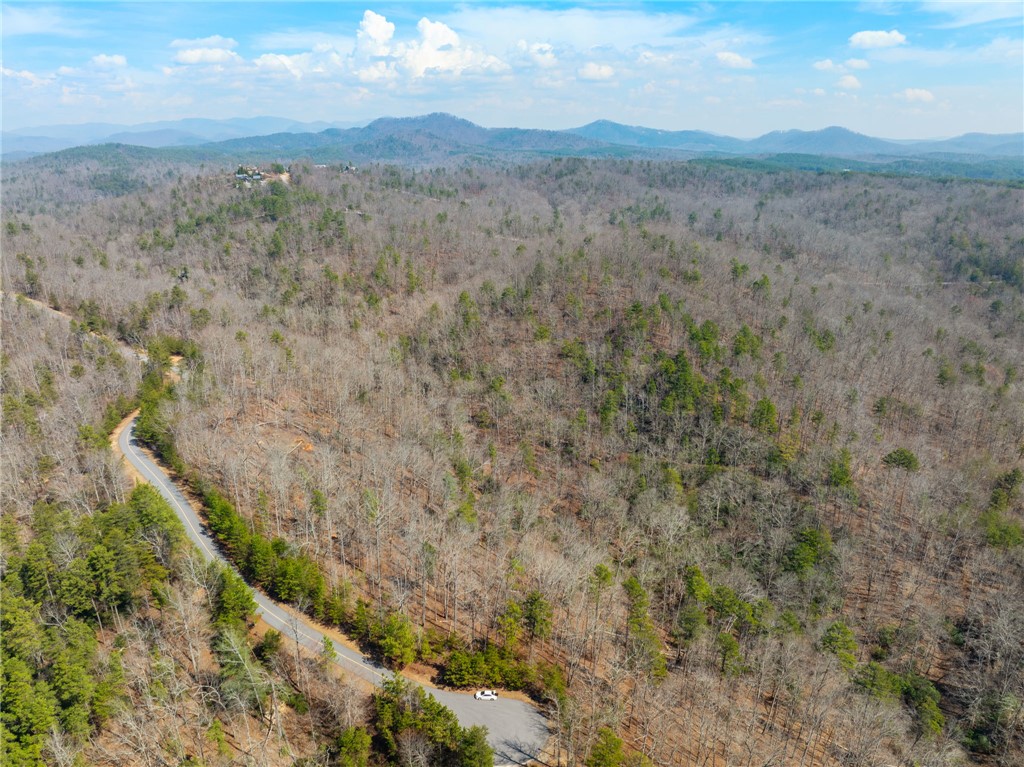 223 Logan Rdg Run Sunset, SC 29685 - Photo 10 of 10