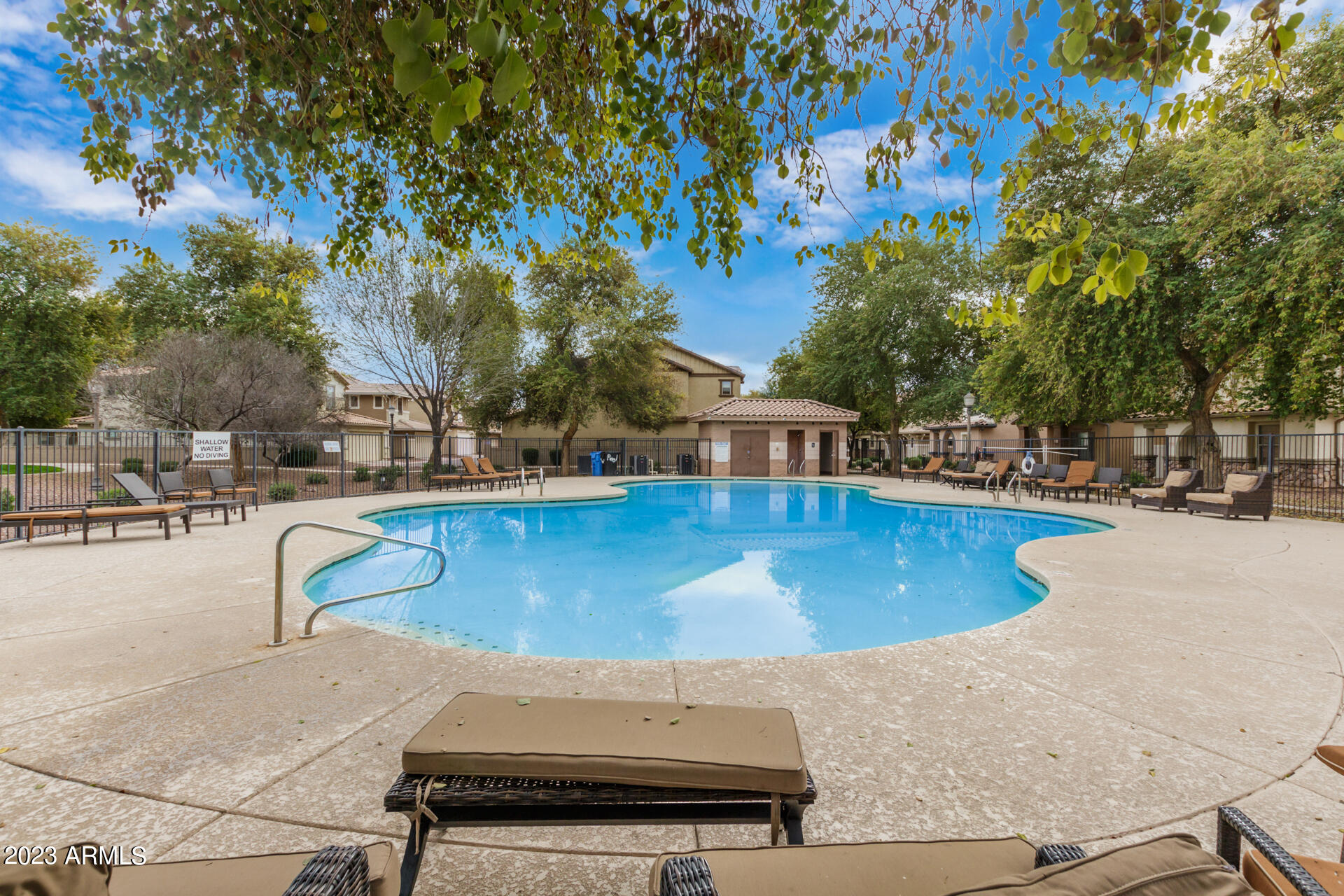 1391 South Joshua Tree Lane Gilbert, AZ 85296 - Photo 19 of 24 0028-27 - Joshua Tree