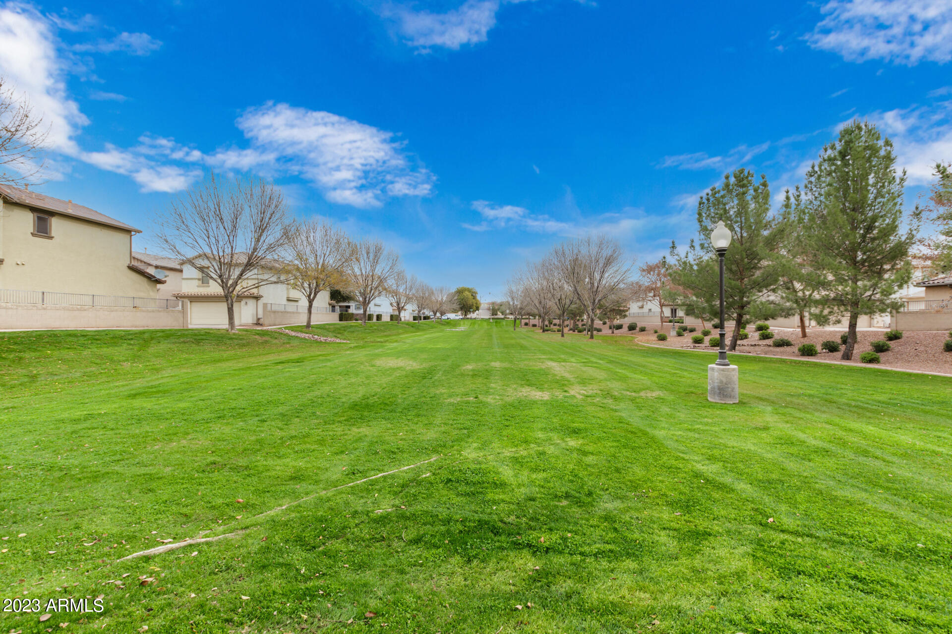 1391 South Joshua Tree Lane Gilbert, AZ 85296 - Photo 21 of 24 0027-28 - Joshua Tree