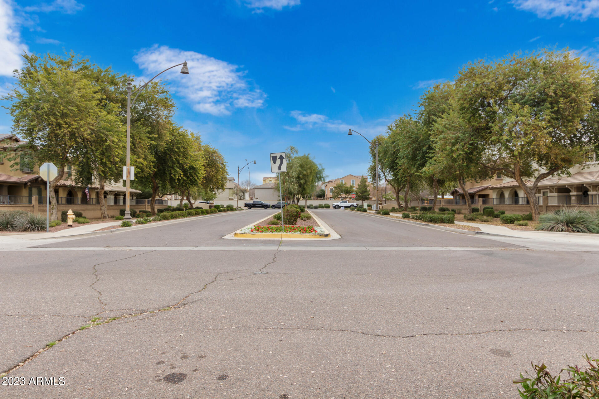 1391 South Joshua Tree Lane Gilbert, AZ 85296 - Photo 22 of 24 0024-24 - Joshua Tree