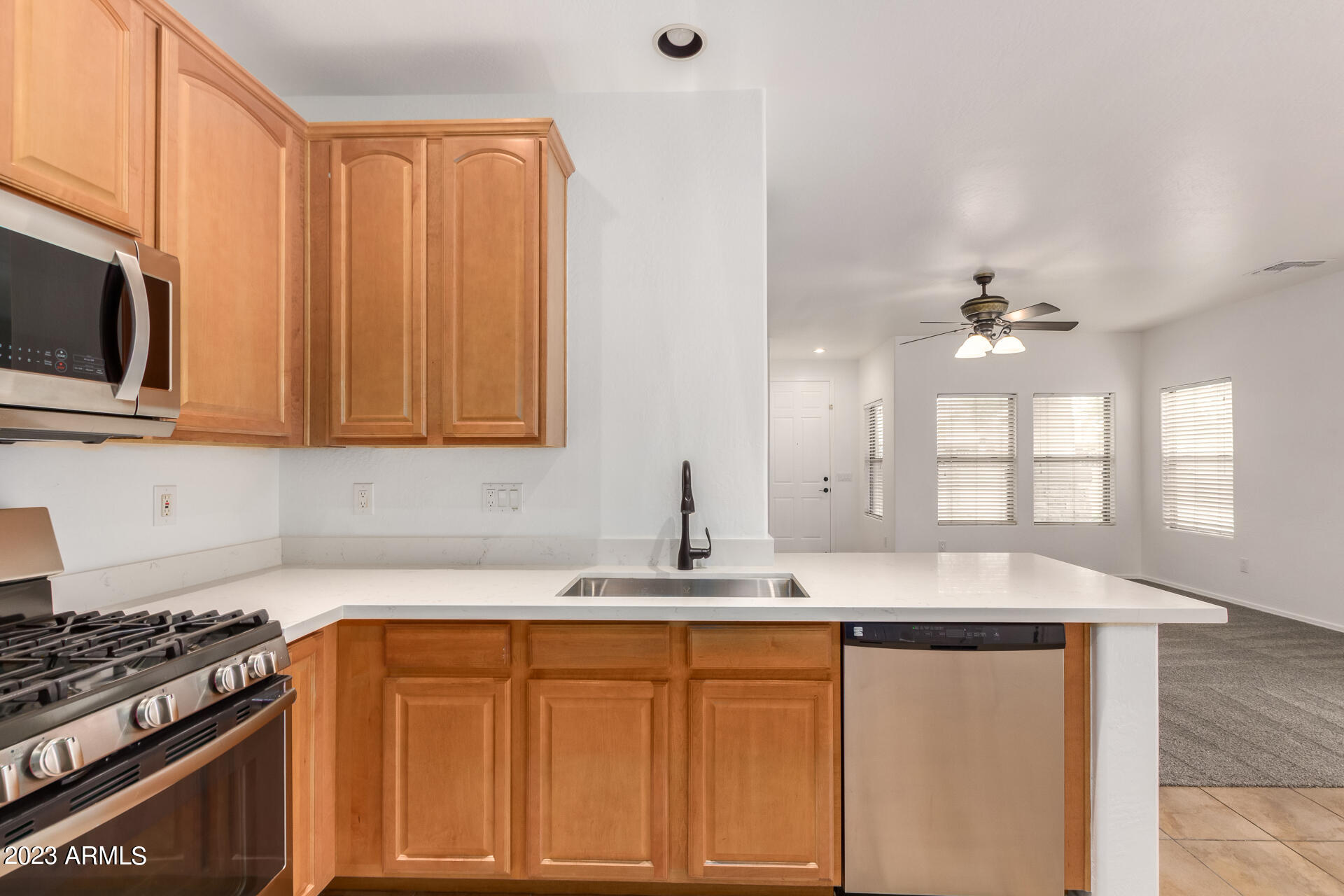 1391 South Joshua Tree Lane Gilbert, AZ 85296 - Photo 8 of 24 0010-10 - Joshua Tree